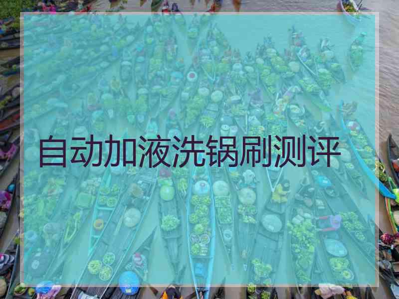 自动加液洗锅刷测评 自动加液洗锅刷测评