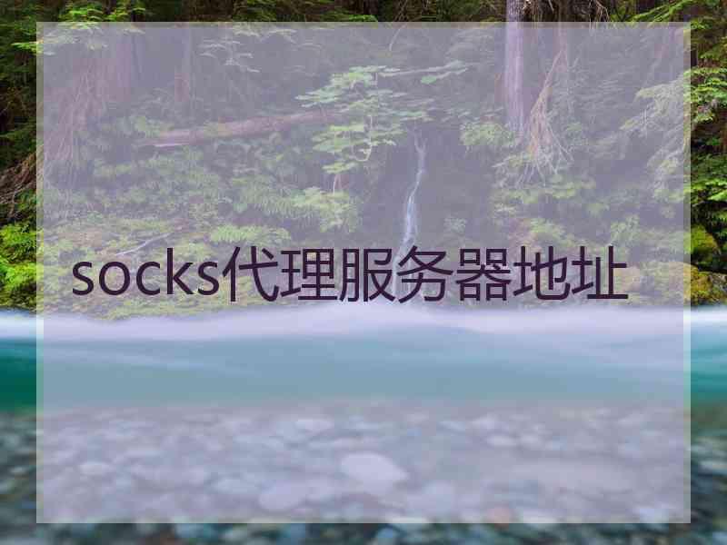 socks代理服务器地址 socks代理服务器地址