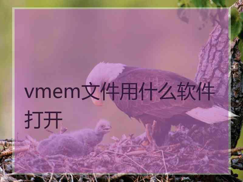 vmem文件用什么软件打开 vmem文件用什么软件打开