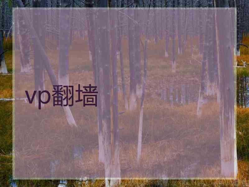 vp翻墙 vp翻墙