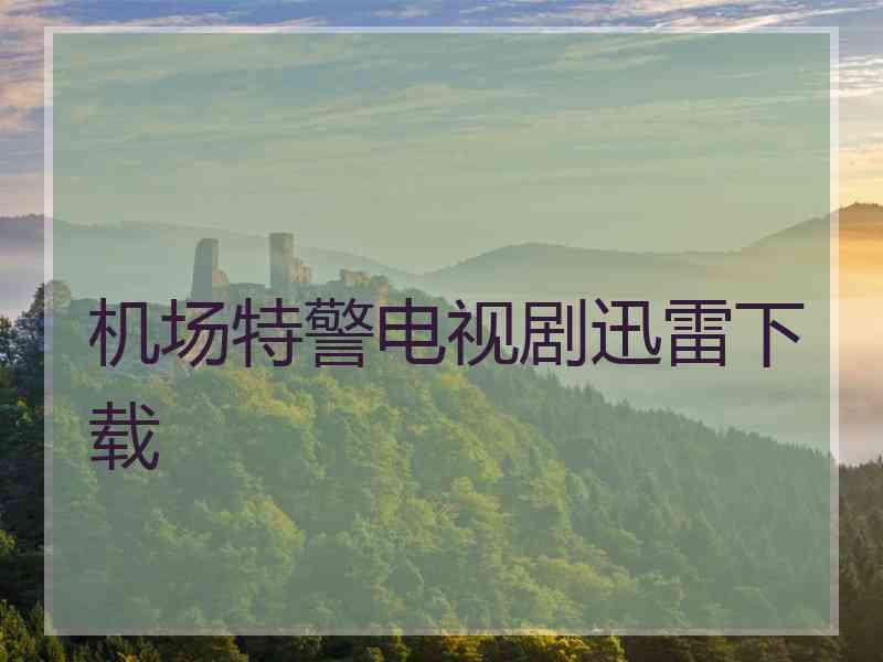 机场特警电视剧迅雷下载 机场特警电视剧迅雷下载