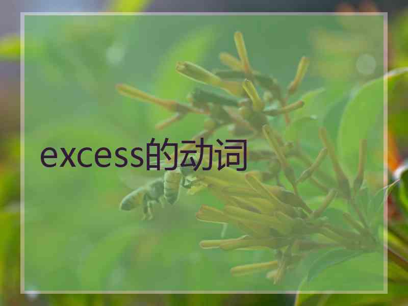 excess的动词 excess的动词