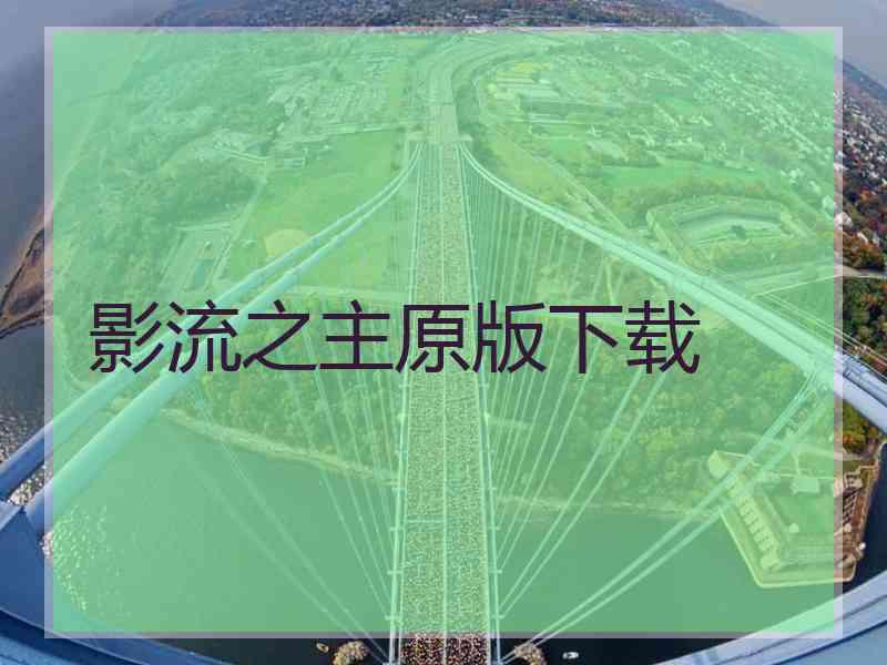 影流之主原版下载 影流之主原版下载