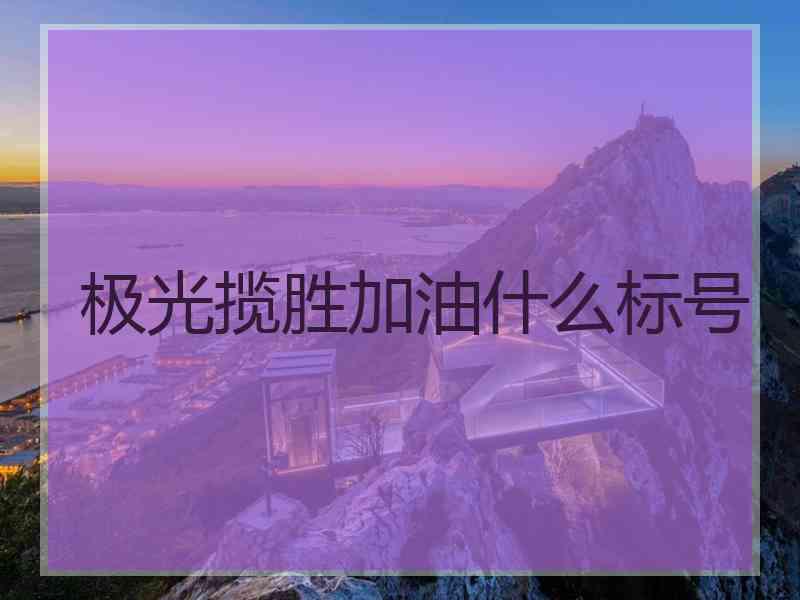 极光揽胜加油什么标号 极光揽胜加油什么标号