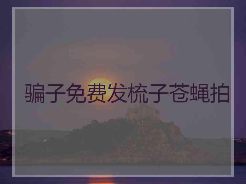 骗子免费发梳子苍蝇拍 骗子免费发梳子苍蝇拍