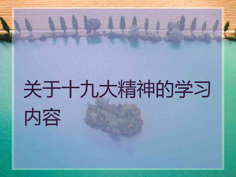 关于十九大精神的学习内容 关于十九大精神的学习内容