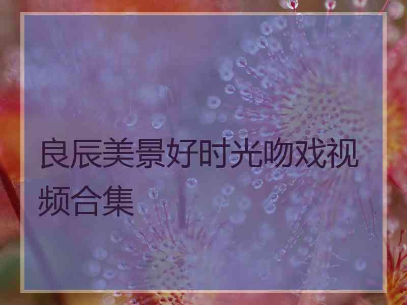 良辰美景好时光吻戏视频合集 良辰美景好时光吻戏视频合集