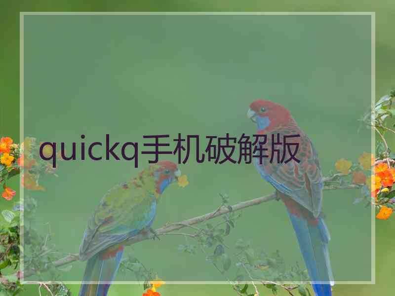 quickq手机破解版 quickq手机破解版