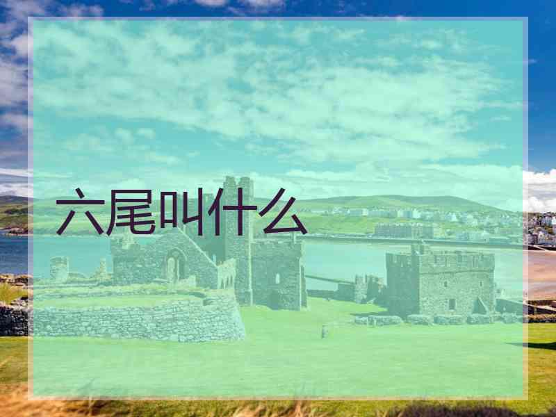 六尾叫什么 六尾叫什么