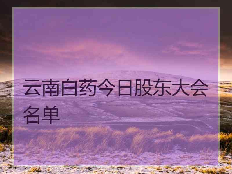 云南白药今日股东大会名单 云南白药今日股东大会名单
