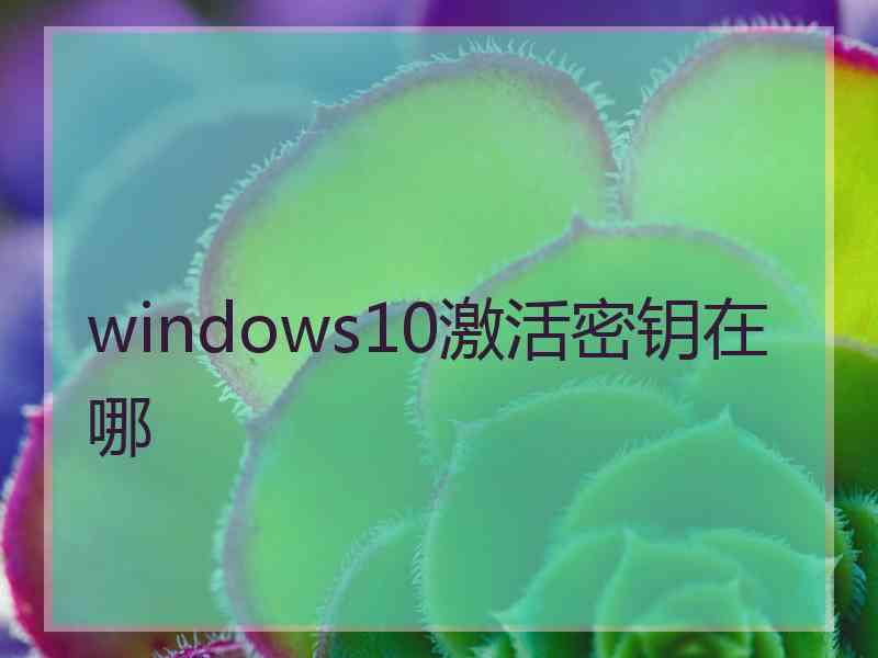 windows10激活密钥在哪 windows10激活密钥在哪