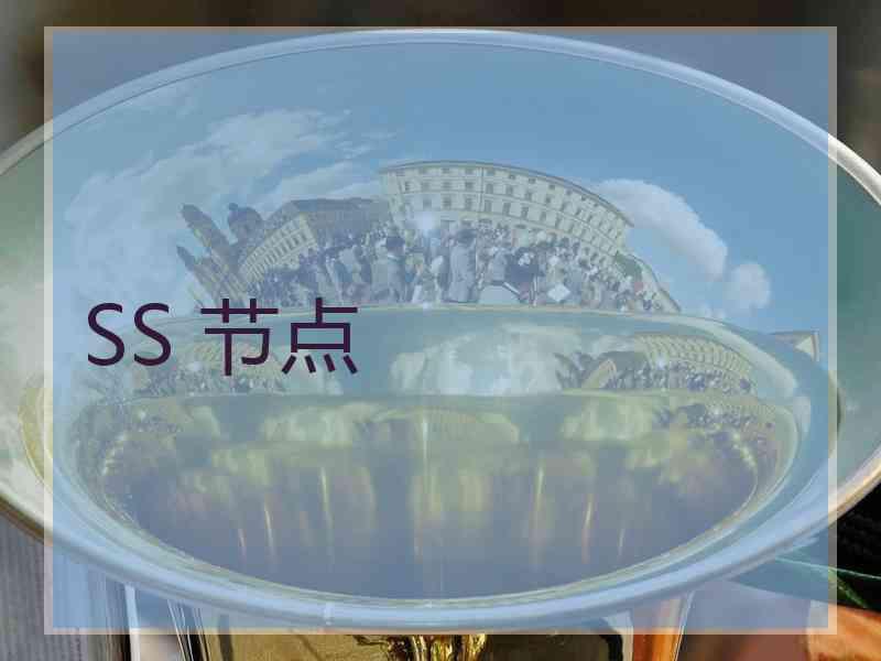 SS 节点 SS 节点