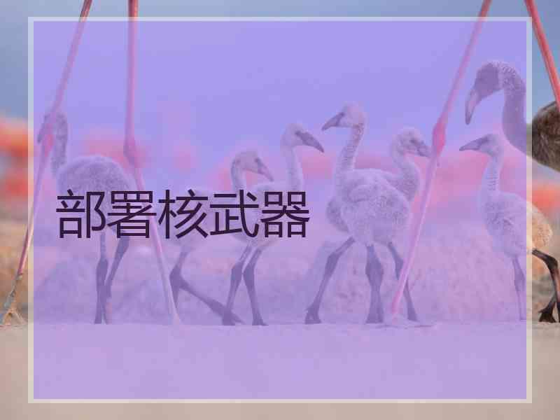 部署核武器 部署核武器