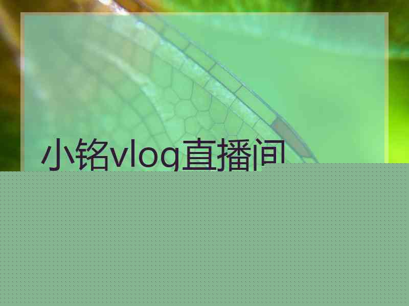 小铭vlog直播间 小铭vlog直播间
