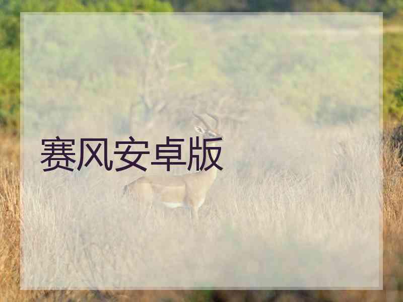 赛风安卓版 赛风安卓版