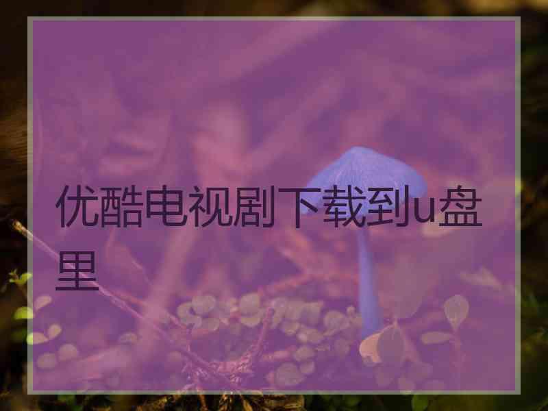 优酷电视剧下载到u盘里 优酷电视剧下载到u盘里