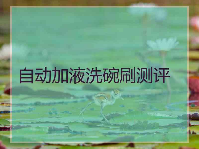 自动加液洗碗刷测评 自动加液洗碗刷测评