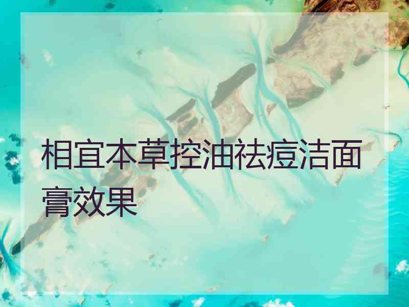 相宜本草控油祛痘洁面膏效果 相宜本草控油祛痘洁面膏效果