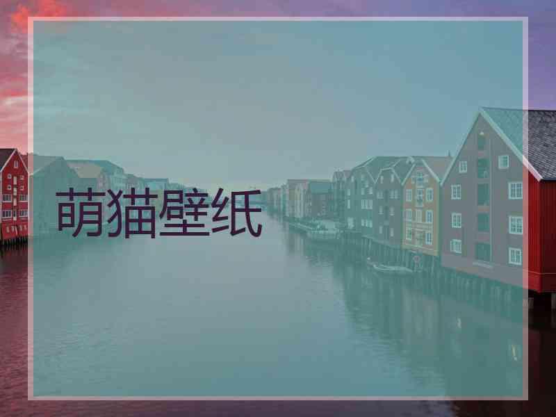 萌猫壁纸 萌猫壁纸