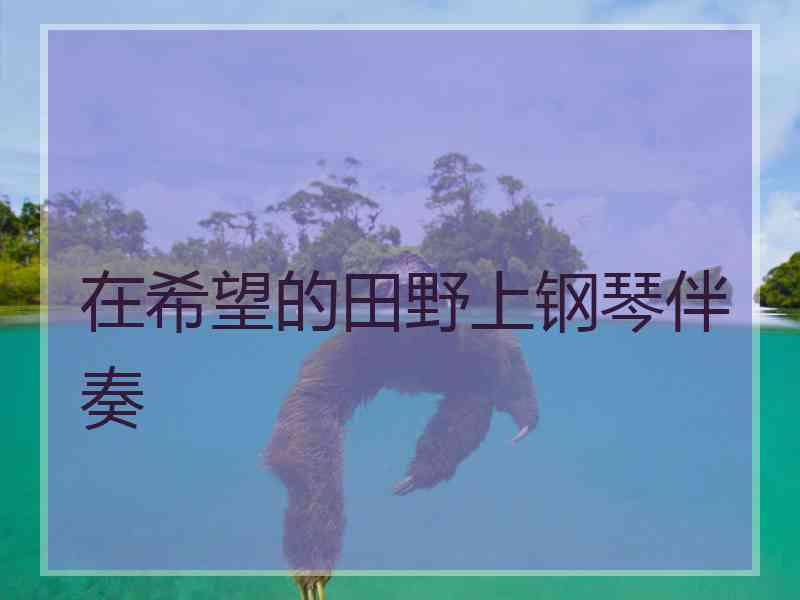 在希望的田野上钢琴伴奏 在希望的田野上钢琴伴奏