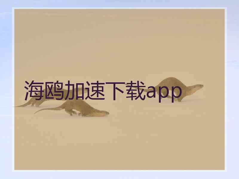 海鸥加速下载app 海鸥加速下载app