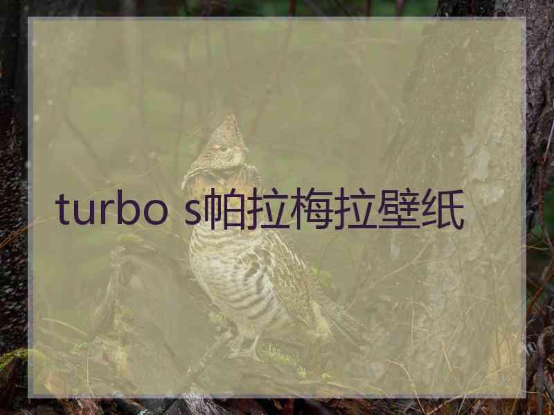 turbo s帕拉梅拉壁纸 turbo s帕拉梅拉壁纸