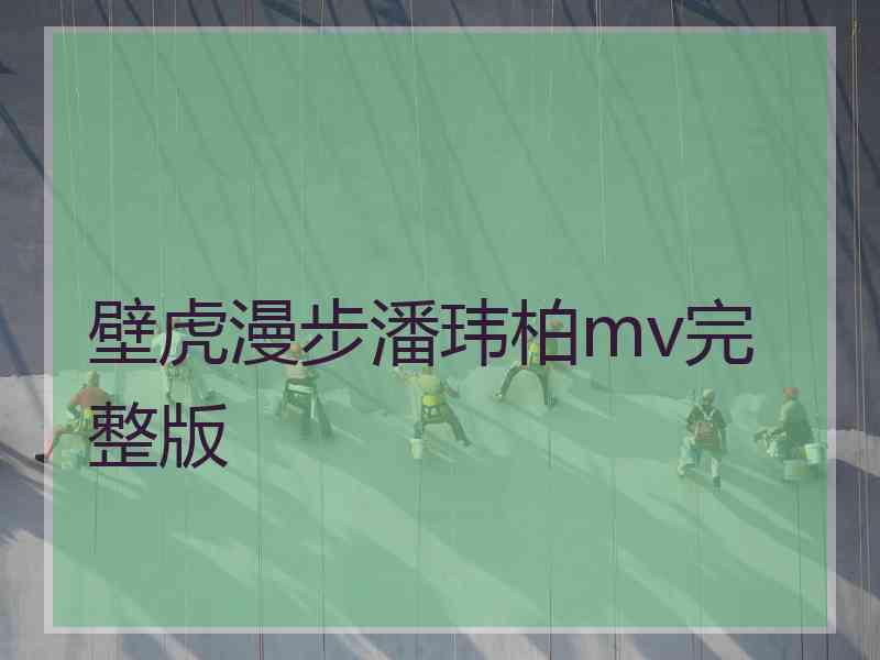壁虎漫步潘玮柏mv完整版 壁虎漫步潘玮柏mv完整版