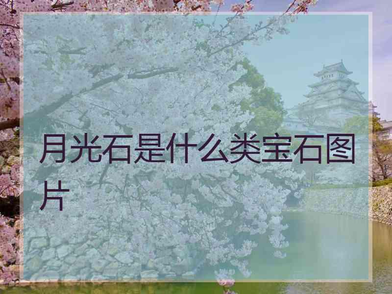 月光石是什么类宝石图片 月光石是什么类宝石图片