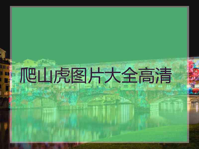 爬山虎图片大全高清 爬山虎图片大全高清