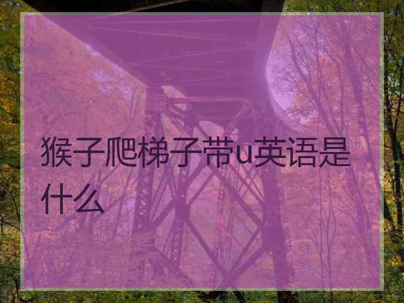 猴子爬梯子带u英语是什么 猴子爬梯子带u英语是什么