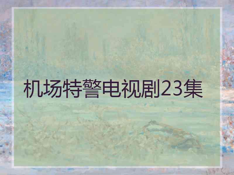 机场特警电视剧23集 机场特警电视剧23集
