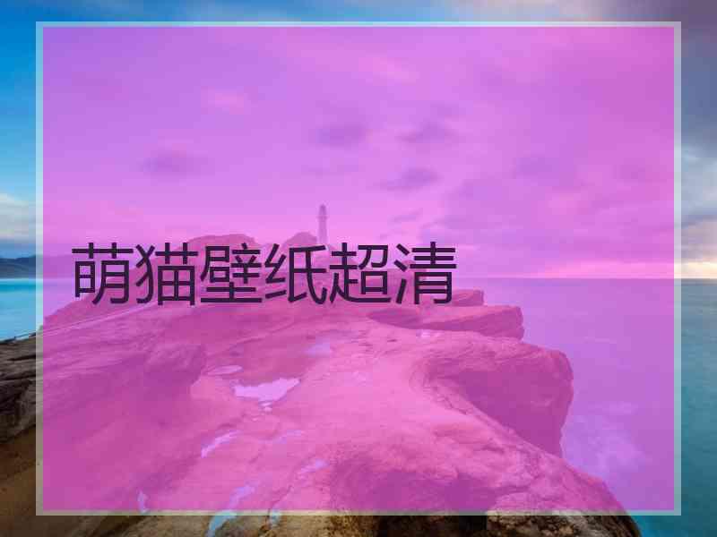 萌猫壁纸超清 萌猫壁纸超清