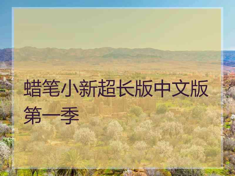 蜡笔小新超长版中文版第一季