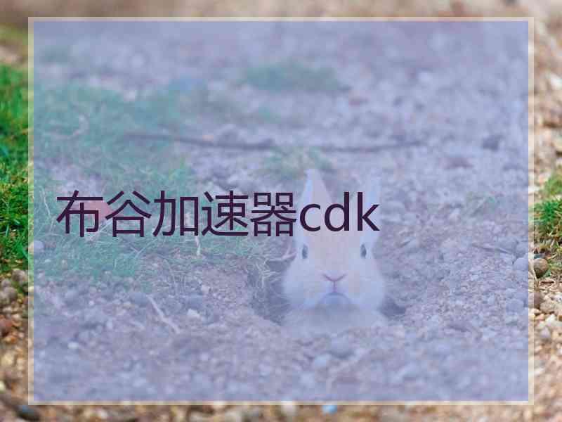 布谷加速器cdk