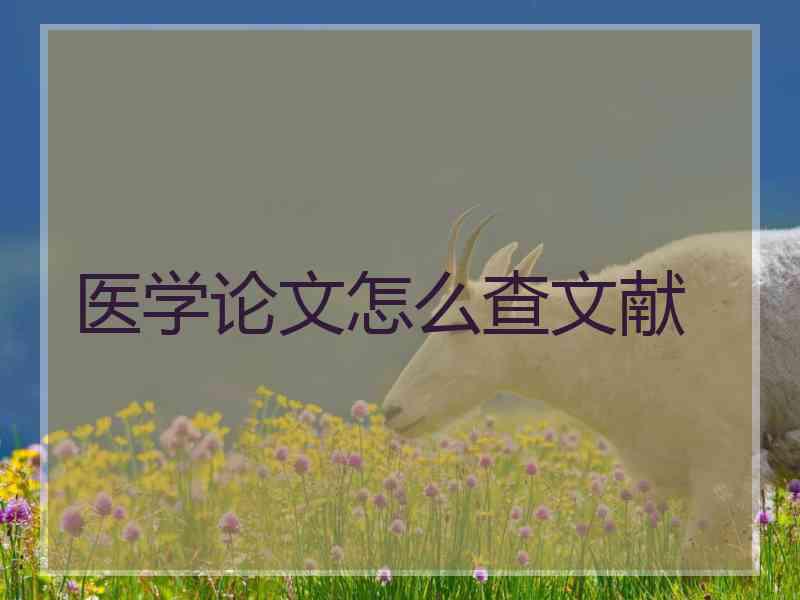 医学论文怎么查文献