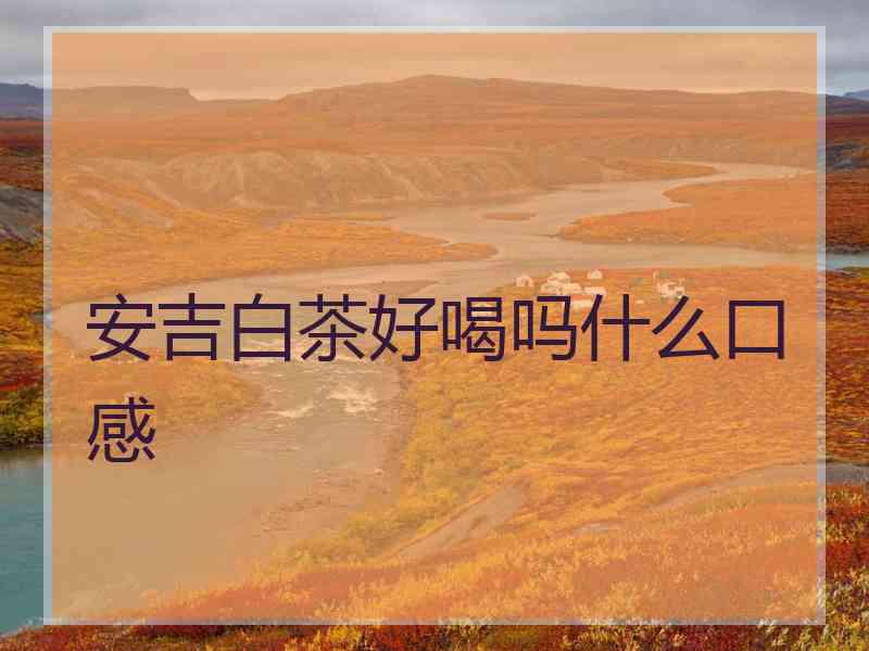 安吉白茶好喝吗什么口感