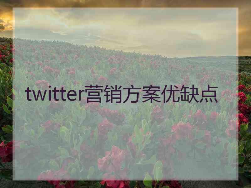 twitter营销方案优缺点