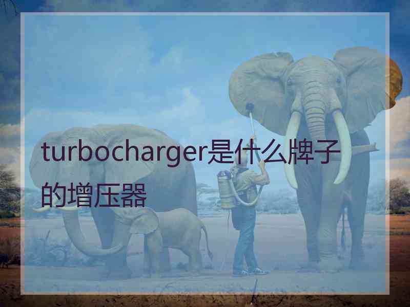 turbocharger是什么牌子的增压器