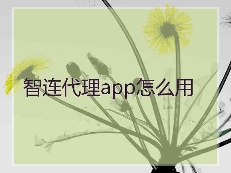 智连代理app怎么用