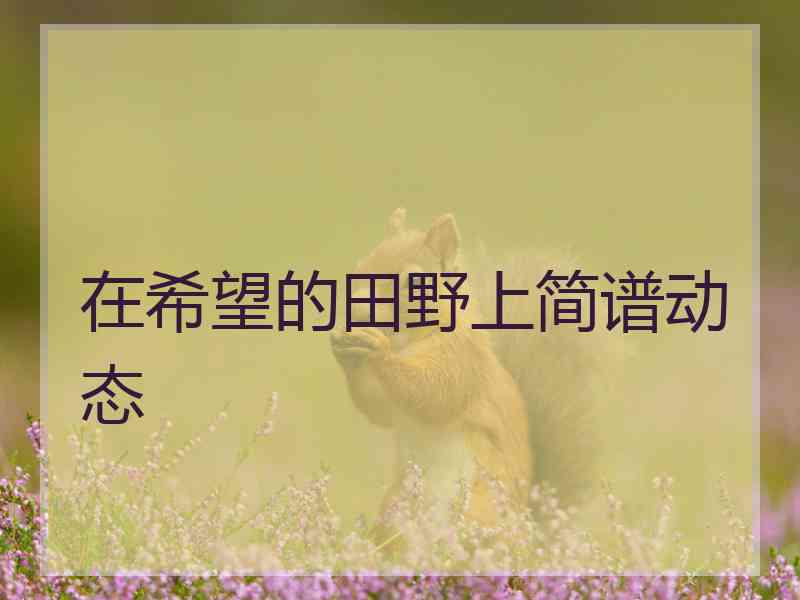 在希望的田野上简谱动态