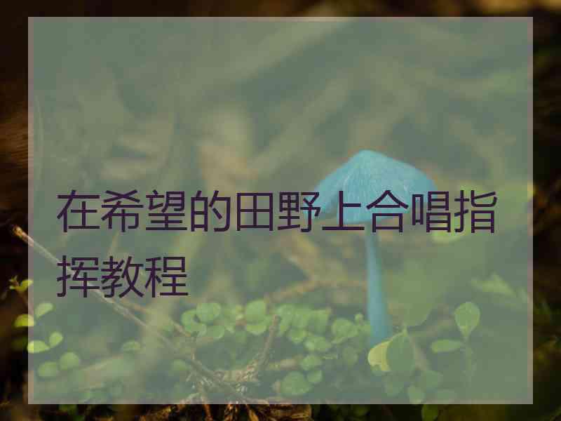 在希望的田野上合唱指挥教程