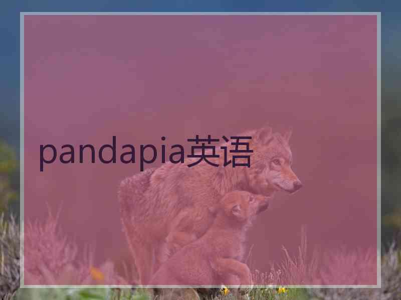 pandapia英语