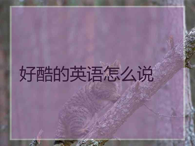 好酷的英语怎么说