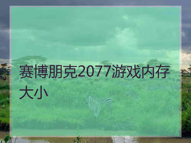 赛博朋克2077游戏内存大小