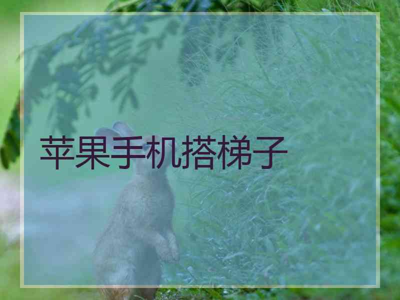 苹果手机搭梯子