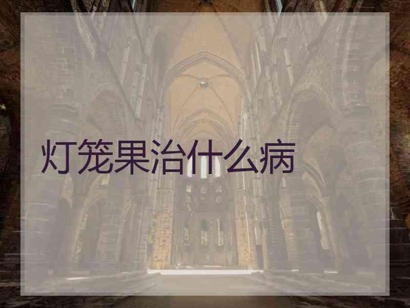 灯笼果治什么病