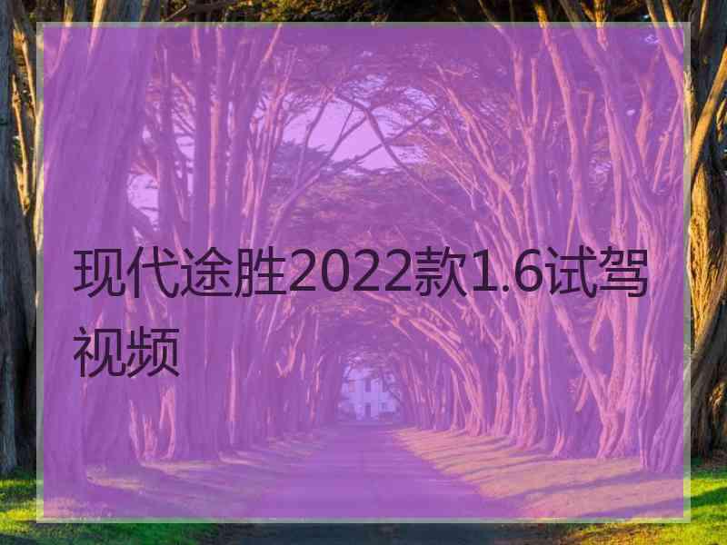 现代途胜2022款1.6试驾视频