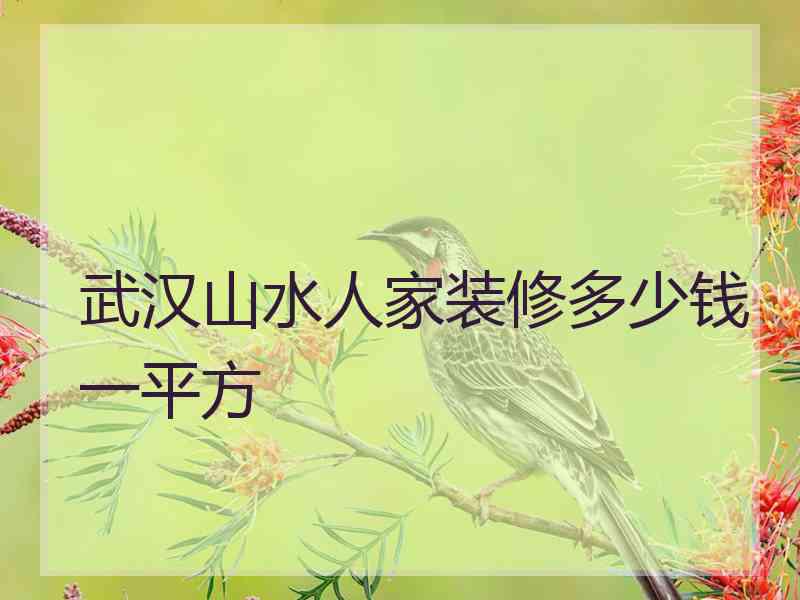 武汉山水人家装修多少钱一平方