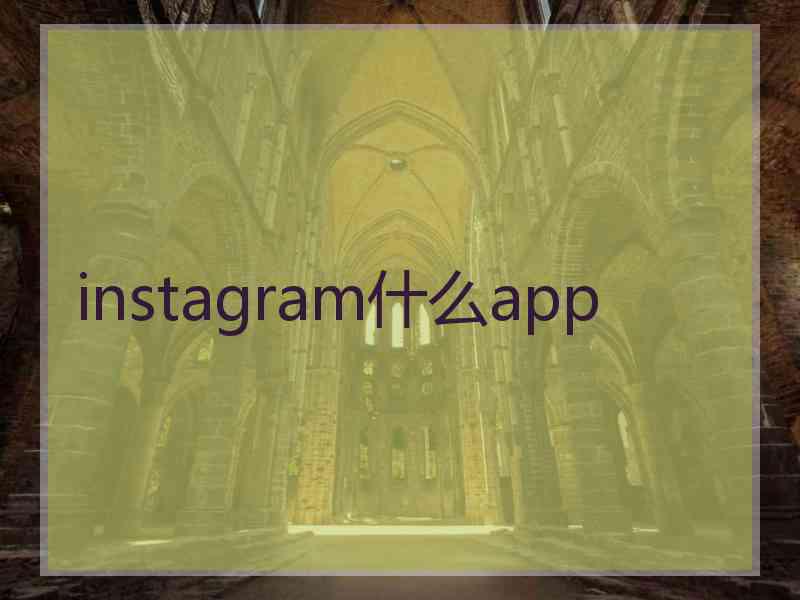 instagram什么app