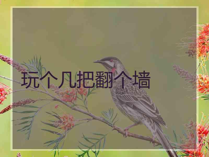 玩个几把翻个墙